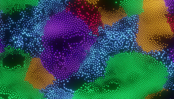 design media banner